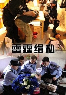 雷霆缉私 - 剧情片 (2013) 海报