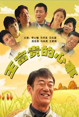 王富贵的心事 - 剧情片 (2010) 海报