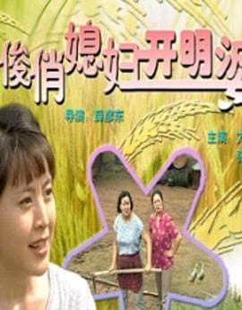 俊俏媳妇开明婆 - 喜剧片 (2000) 海报