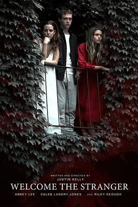 欢迎陌生人 - 剧情片 (2018) 海报
