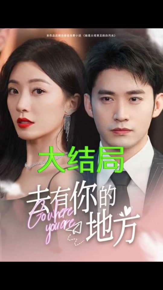 去有你的地方 - 爽文短剧 (2024) 海报