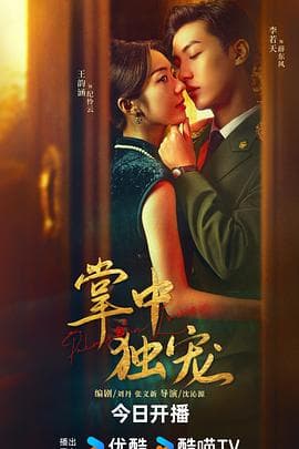 掌中独宠 - 国产剧 (2024) 海报