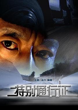 特别通行证 - 剧情片 (2008) 海报