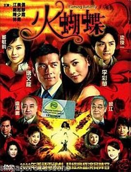 火蝴蝶2008 - 港剧 (2008) 海报