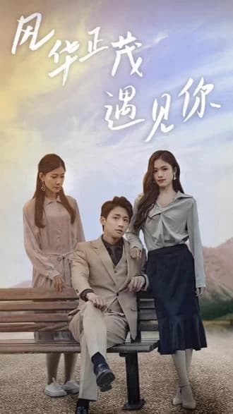 风华正茂遇见你 - 爽文短剧 (2023) 海报