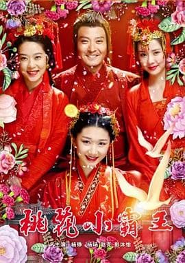 桃花小霸王 - 剧情片 (2017) 海报