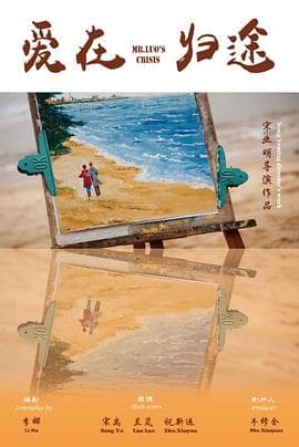 爱在归途 - 剧情片 (2017) 海报