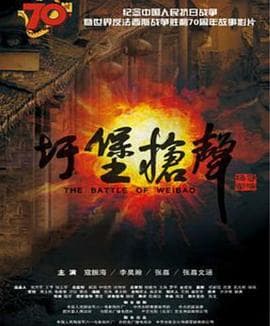 圩堡枪声 - 剧情片 (2015) 海报