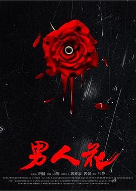 男人花 - 动作片 (2017) 海报