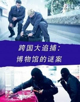 跨国大追捕:博物馆的谜案 - 动作片 (2016) 海报