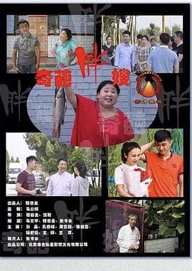 奇葩胖嫂 - 喜剧片 (2020) 海报