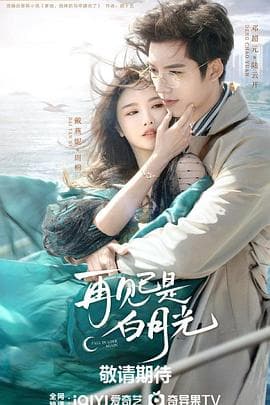 再见已是白月光 - 国产剧 (2024) 海报