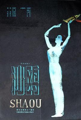 沙鸥 - 剧情片 (1981) 海报