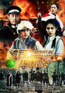 夺宝黑狐岭 - 剧情片 (2018) 海报