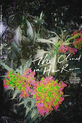 她房间里的云 - 剧情片 (2020) 海报