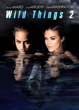 玩尽杀绝2 - 剧情片 (2004) 海报