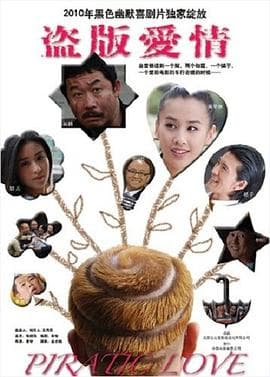 盗版爱情 - 喜剧片 (2009) 海报