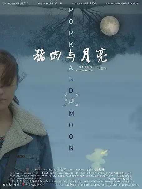 猪肉与月亮【影视解说】 - 影视解说 (2013) 海报