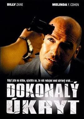 完美隐藏 - 喜剧片 (2008) 海报