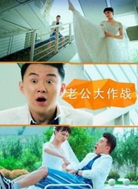 老公大作战 - 喜剧片 (2016) 海报
