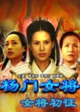 杨门女将之女将初征 - 剧情片 (2001) 海报