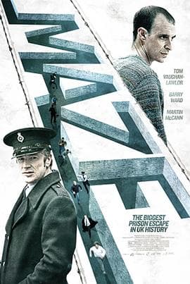 迷宫 - 剧情片 (2017) 海报