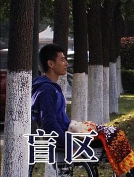 盲区 - 剧情片 (2013) 海报