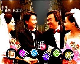 酒店奇遇结良缘 - 剧情片 (2004) 海报