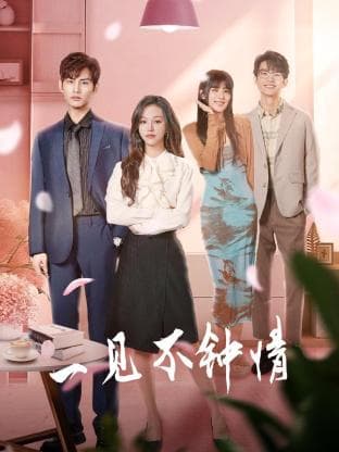 一见不钟情2024 - 国产剧 (2024) 海报
