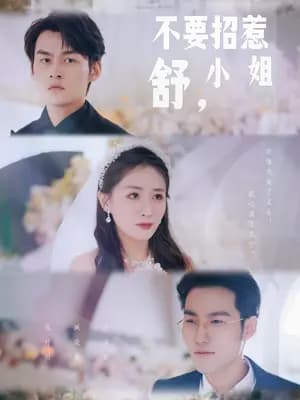 不要招惹舒小姐 - 爽文短剧 (2024) 海报