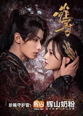 难寻 - 国产剧 (2024) 海报