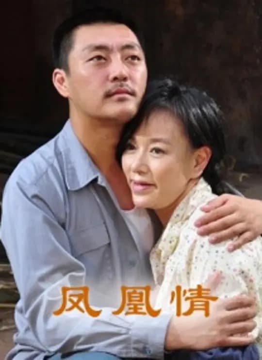 凤凰情【影视解说】 - 影视解说 (2013) 海报