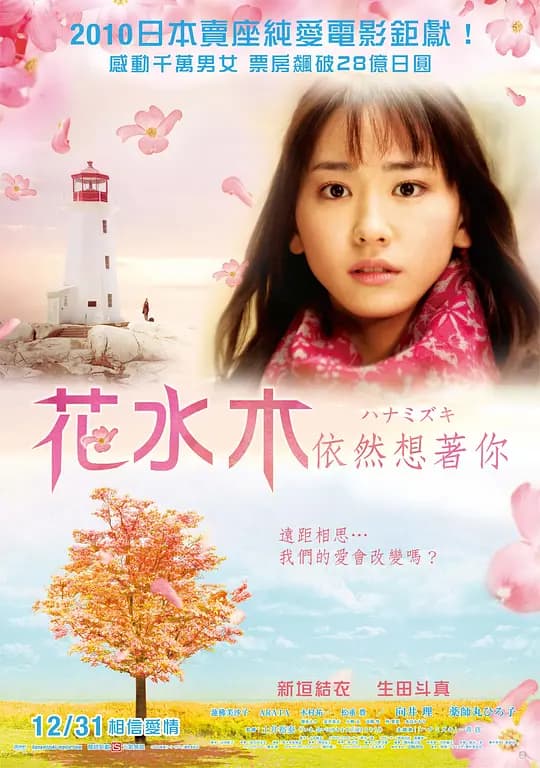 花水木【影视解说】 - 影视解说 (2010) 海报