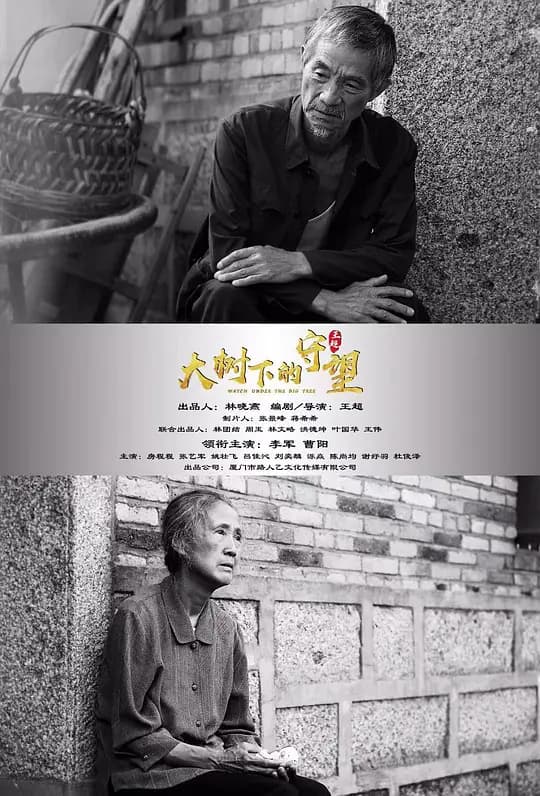大树下的守望【影视解说】 - 影视解说 (2021) 海报