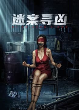 迷案寻凶电影版 - 剧情片 (2024) 海报