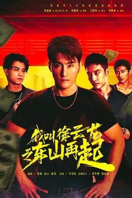 我叫徐云龙之东山再起 - 国产剧 (2024) 海报