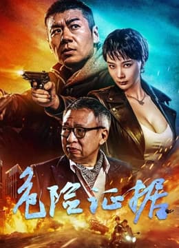 危险证据2024 - 剧情片 (2024) 海报