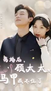 相逢却似曾相识 离婚后顾太太的马甲藏不住了 - 爽文短剧 (2023) 海报