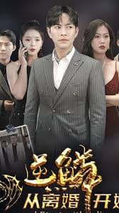 逆鳞从离婚开始 - 反转爽剧 (2023) 海报