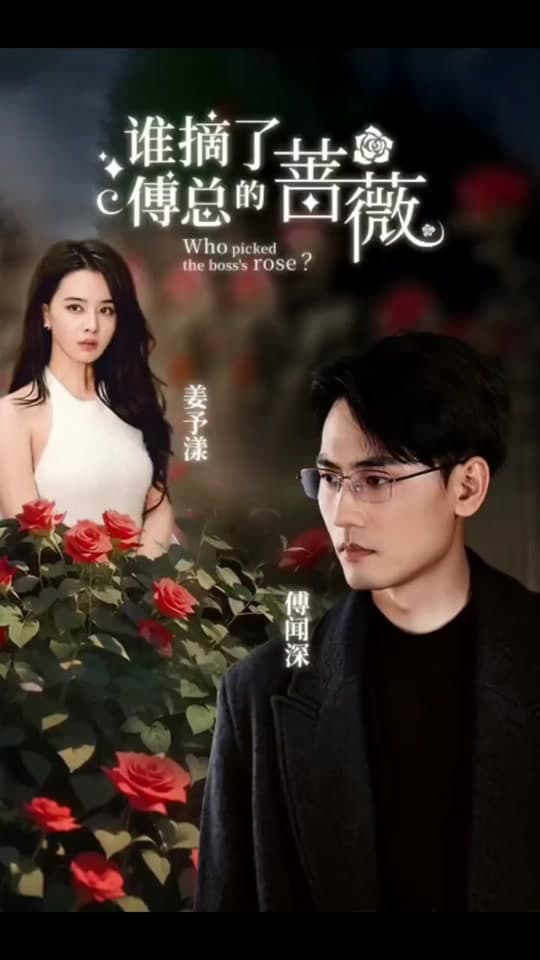 谁摘了傅总的蔷薇 - 女频恋爱 (2023) 海报