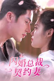 闪婚总裁契约妻 - 女频恋爱 (2023) 海报