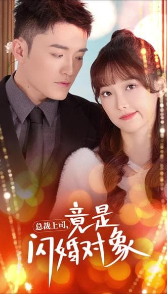 总裁上司竟是闪婚对象(误入婚途) - 女频恋爱 (2023) 海报