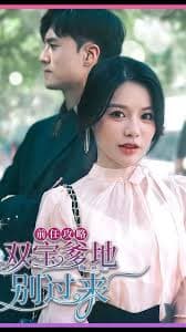 前任攻略，双宝爹地别过来 - 女频恋爱 (2023) 海报