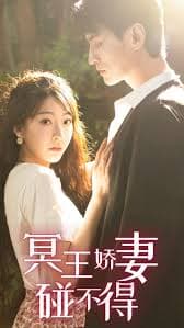 冥王娇妻惹不得 - 女频恋爱 (2023) 海报