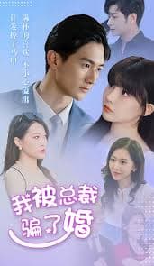 我被总裁骗了婚 - 女频恋爱 (2023) 海报