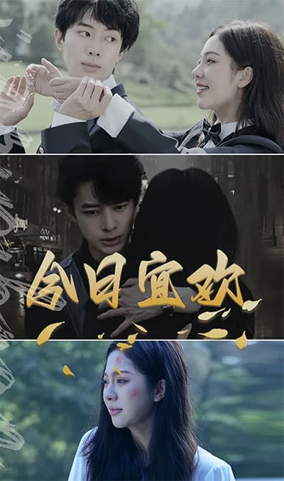 今日宜欢 - 现代都市 (2023) 海报