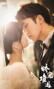 娇宠难逃 - 现代都市 (2023) 海报