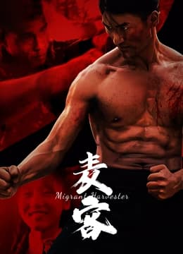 麦客2024 - 动作片 (2024) 海报