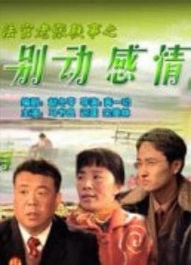 法官老张轶事之别动感情 - 剧情片 (2006) 海报