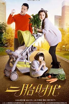 二胎时代 - 国产剧 (2015) 海报